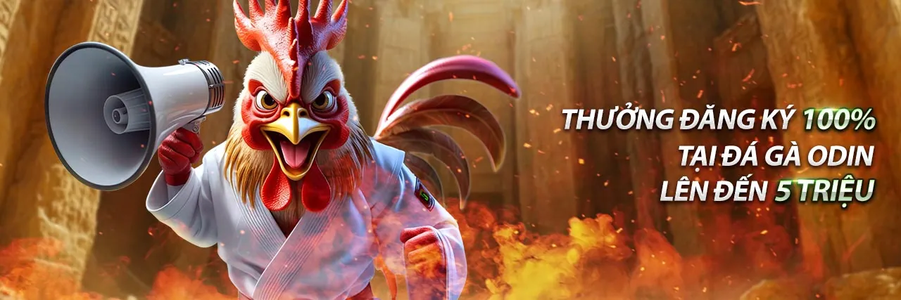 Sòng bạc trực tuyến Đa Gà Thomo Hôm Nay 2026 với các trò chơi đá gà và casino trực tiếp