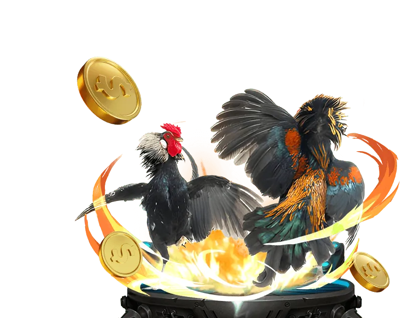 Sơ đồ luật chơi đá gà Thomo